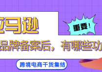 亚马逊账号品牌备案后，能够享受哪些方面的功能以及流量扶持？