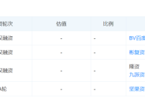 从亚马逊转型做独立站，他被多个资本看上了