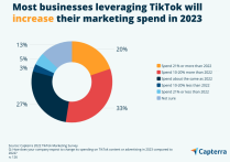 TikTok广告投放ROI惊人，78%的小型企业收获颇丰